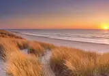 Hotel op Diek - Texel foto 18
