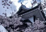 Experience The Japanese Alps foto 5