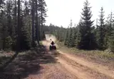 Camping Yttermalungs foto 8