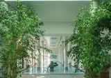 Terme Manzi Hotel & Spa foto 26