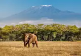 Tanzania op het gemak foto 12