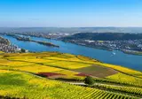 Rijnromantiek naar Rüdesheim met mps Serenade 2 foto 1