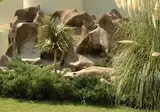 Belpoint Beach Hotel foto 25