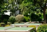 Haliotis foto 8