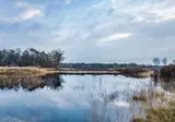 Kerst op de Veluwe, Nunspeet foto 5
