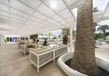 H10 Ocean Dunas - Adults Only foto 29