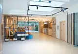 Aktinia foto 4