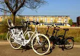 Best Western Zaan Inn foto 18