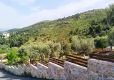 Villa Konaki foto 19