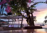 Holland House Beach Hotel foto 14