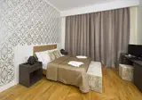 Deminka Palace foto 26