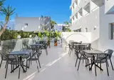 Hotel Vibra Palma Cactus foto 8