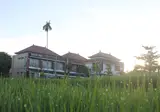 Dikubu Bali Villa and Suite foto 5