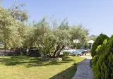 Fly & Go Golden Sun Villas foto 27