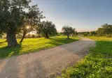 Masseria Della Volpe foto 2