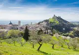 Ontdek Umbrië en Le Marche foto 6
