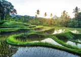 Ontdek Java en Lombok foto 3