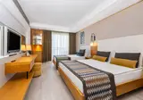 Sidera Kirman Premium foto 11