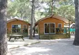 Camping La Torre de Sol foto 2