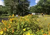 Étang De La Vallée foto 11