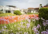 Ciclope Residence foto 7