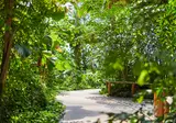 Tropical Island Resort foto 12