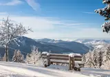 Kerst in het Zwarte Woud, Endingen foto 1