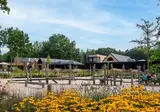 TopParken Resort de Brabantse Kempen foto 5