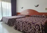 Fenals Garden foto 20