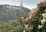 West-Amerika op het gemak foto 23