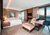 Sheraton Grand Tbilisi Metechi Palace foto 16