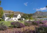 Steenberg Hotel & Spa foto 3