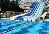 Delphin Botanik Platinum foto 15