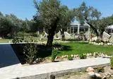 Saint George Resort foto 5