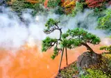 Natural Wonders of Authentic Kyushu foto 4