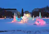 Ontdek winters Canada vanuit Jasper foto 3