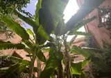 Hotel Riad Dar Bounouar foto 11