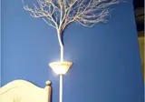 Le Tre Stelle foto 19