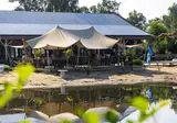 Camping Papillon Kinrooi foto 13