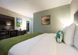 Comfort Inn & Suites foto 17