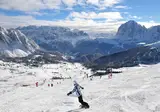 Genziana foto 2