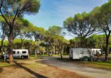 Wecamp Cala Montgó foto 28