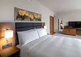 Hilton Garden Inn Tbilisi Chavchavadze foto 7