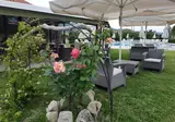 Castello Suites & Eleni's Garden foto 20