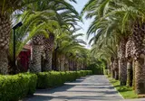 Villaggio Tur. Lido D Abruzzo foto 14