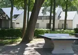 Green Resort Limburg foto 9
