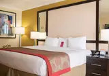 Ramada Plaza by Wyndham Marco Polo Beach Resort foto 9