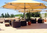 Delfino Beach Resort & Spa foto 17