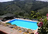Il Poggio degli Olivi foto 11