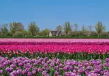 Recreatiepark De Wielen foto 16